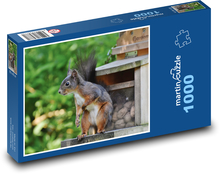 Veverička - hlodavec Puzzle 1000 dielikov - 60 x 46 cm 