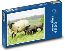 Owce Puzzle 1000 elementów - 60x46 cm