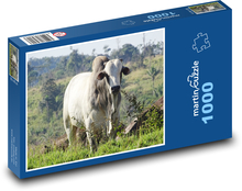 Krava Puzzle 1000 dielikov - 60 x 46 cm 