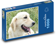 Zlatý retriever - pes Puzzle 1000 dielikov - 60 x 46 cm 