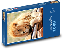 Lew Puzzle 1000 elementów - 60x46 cm