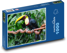 Tukan żółtogłowy Puzzle 1000 elementów - 60x46 cm