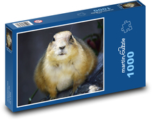 Pies preriowy Puzzle 1000 elementów - 60x46 cm