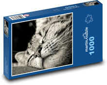 Schlafende Katze Puzzle 1000 Teile - 60 x 46 cm