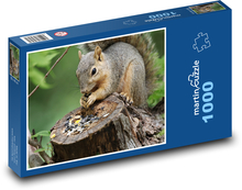 Veverica Puzzle 1000 dielikov - 60 x 46 cm 