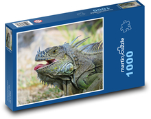 Leguán - jašterica Puzzle 1000 dielikov - 60 x 46 cm 