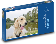 Golden Retriever - Pies Puzzle 1000 elementów - 60x46 cm