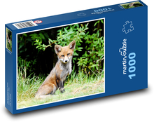 Fox - chick Puzzle 1000 pieces - 60 x 46 cm 