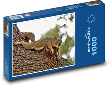 Braunhörnchen Puzzle 1000 Teile - 60 x 46 cm
