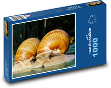 SNAILS  Puzzle 1000 pieces - 60 x 46 cm 