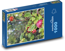 Apple Cobweb Puzzle 1000 dielikov - 60 x 46 cm 