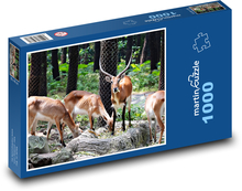 Animals - gazelle Puzzle 1000 pieces - 60 x 46 cm 