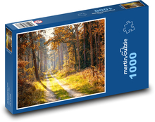 Jeseň - lesná cesta Puzzle 1000 dielikov - 60 x 46 cm