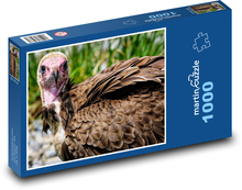 Geier Puzzle 1000 Teile - 60 x 46 cm