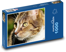 Kot Puzzle 1000 elementów - 60x46 cm
