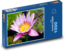 Flower - water lily Puzzle 1000 pieces - 60 x 46 cm