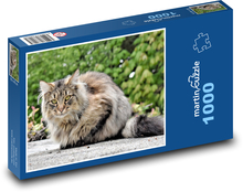 Katze Puzzle 1000 Teile - 60 x 46 cm