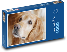 Zlatý retriever Puzzle 1000 dielikov - 60 x 46 cm 