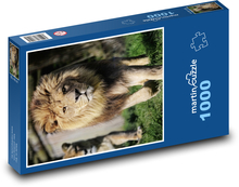 Löwe Puzzle 1000 Teile - 60 x 46 cm