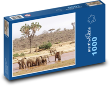 Sloní stádo Puzzle 1000 - 60x46 cm