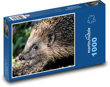 Jeż Puzzle 1000 elementów - 60x46 cm