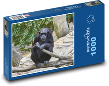 Šimpanz - opica Puzzle 1000 dielikov - 60 x 46 cm 