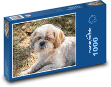 Dog - Shih tzu Puzzle 1000 pieces - 60 x 46 cm 