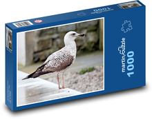 Vták - čajka Puzzle 1000 dielikov - 60 x 46 cm 