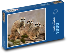 Zoo - surykatki Puzzle 1000 elementów - 60x46 cm
