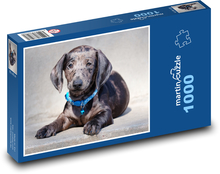 Dackel - Welpe Puzzle 1000 Teile - 60 x 46 cm