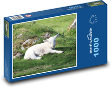 Lamm - Schaf Puzzle 1000 Teile - 60 x 46 cm
