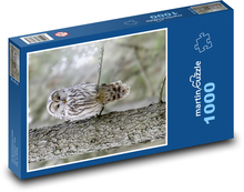 Dravý pták - Sova Puzzle 1000 dílků - 60 x 46 cm