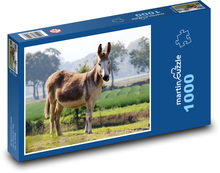 Tier - Esel Puzzle 1000 Teile - 60 x 46 cm