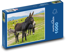 Somár - zviera Puzzle 1000 dielikov - 60 x 46 cm 
