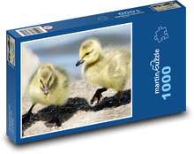 Baby geese Puzzle 1000 pieces - 60 x 46 cm