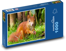 Squirrel - rodent Puzzle 1000 pieces - 60 x 46 cm 