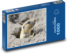Čierno-chvostý prérijný pes Puzzle 1000 dielikov - 60 x 46 cm