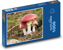 Grzyby - muchomor Puzzle 1000 elementów - 60x46 cm