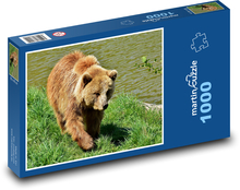 Braunbär Puzzle 1000 Teile - 60 x 46 cm