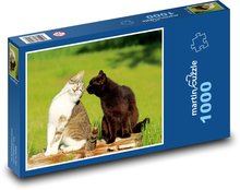 Koty Puzzle 1000 elementów - 60x46 cm