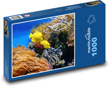 Akvárium - okrasné ryby Puzzle 1000 - 60x46 cm