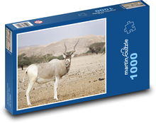 Pouštní antilopa Puzzle 1000 dílků - 60 x 46 cm