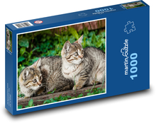 Mačky - mačiatka Puzzle 1000 dielikov - 60 x 46 cm 