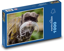 Opice - tamarin Puzzle 1000 dílků - 60 x 46 cm