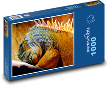 Leguán - plaz Puzzle 1000 dílků - 60 x 46 cm