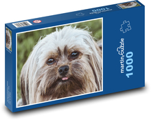 Pies - Terier Puzzle 1000 elementów - 60x46 cm