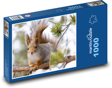 Veverka - hlodavec Puzzle 1000 dílků - 60 x 46 cm
