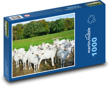Białe kozy na pastwisku Puzzle 1000 elementów - 60x46 cm