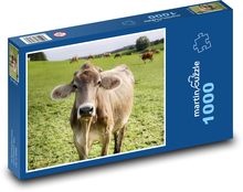 Cow - cattle Puzzle 1000 pieces - 60 x 46 cm 