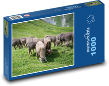 Pasoucí se ovce Puzzle 1000 dílků - 60 x 46 cm